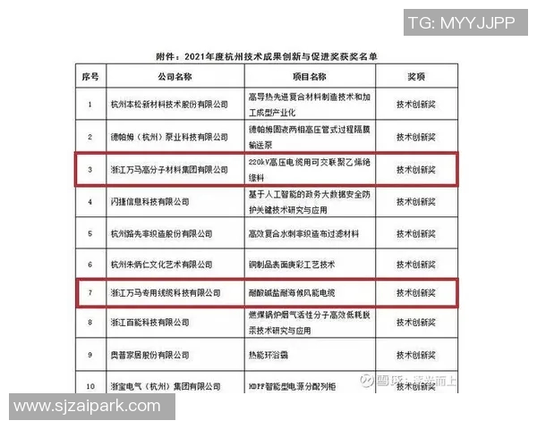深入探讨杭州篮球队各项技术特点与对手的全面对比分析 深入探讨杭州篮球队各项技术特点与对手的全面对比分析