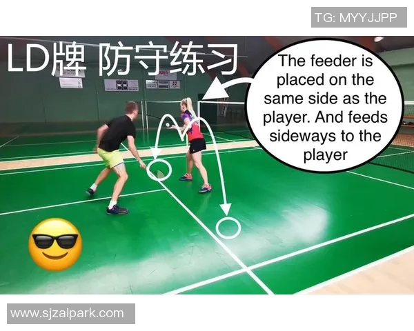 深入分析上海羽毛球队区域防守战术及其在比赛中的应用与效果