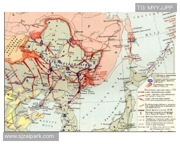 杭州排球队防守策略解析与实战表现的深度剖析