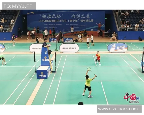 羽毛球比赛经验排行榜揭晓杭州羽毛球队荣获第七名成就辉煌