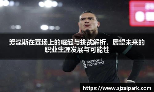 努涅斯在赛场上的崛起与挑战解析，展望未来的职业生涯发展与可能性